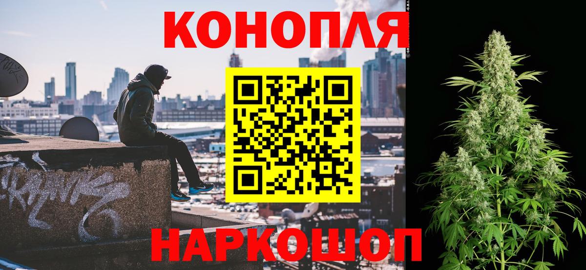 Каннабис планчик  Вход с VPN  Бошки Шишки MAZAR  Богданович 